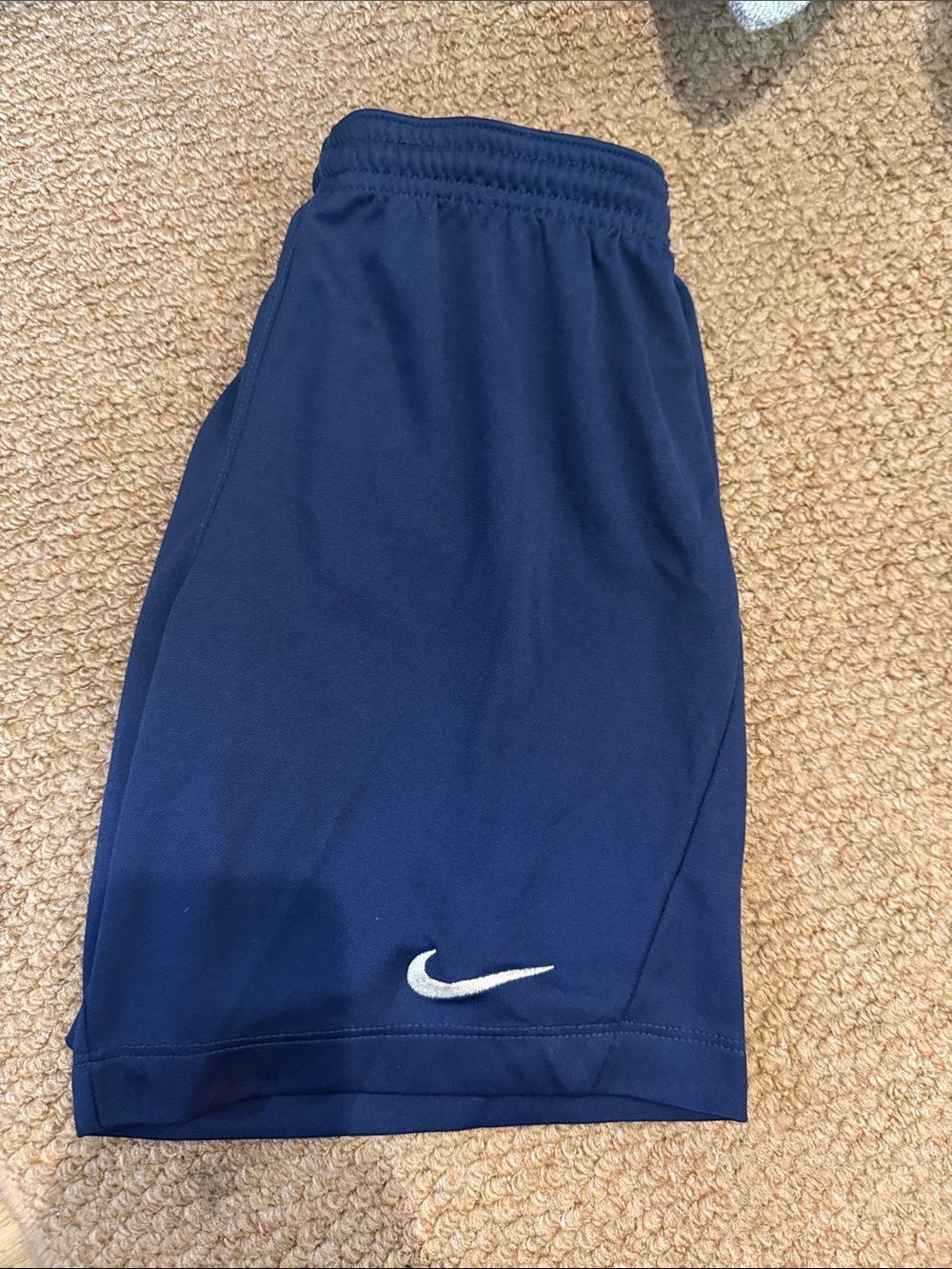 Nike Navy Shorts with White Swoosh